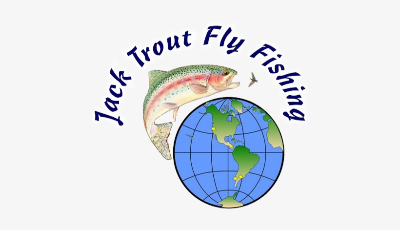 Jack Trout Fly Fishing - Catfish, transparent png download