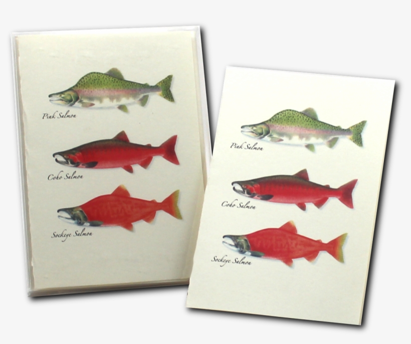 Shopping Cart -  - , transparent png download