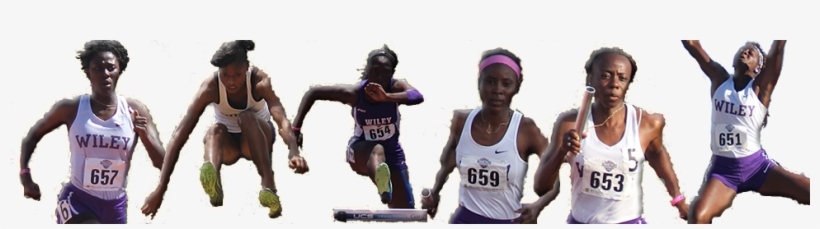 Wildcat Athletics Wildcat Athletics - Wiley College Wildcats Women's Basketball, transparent png download