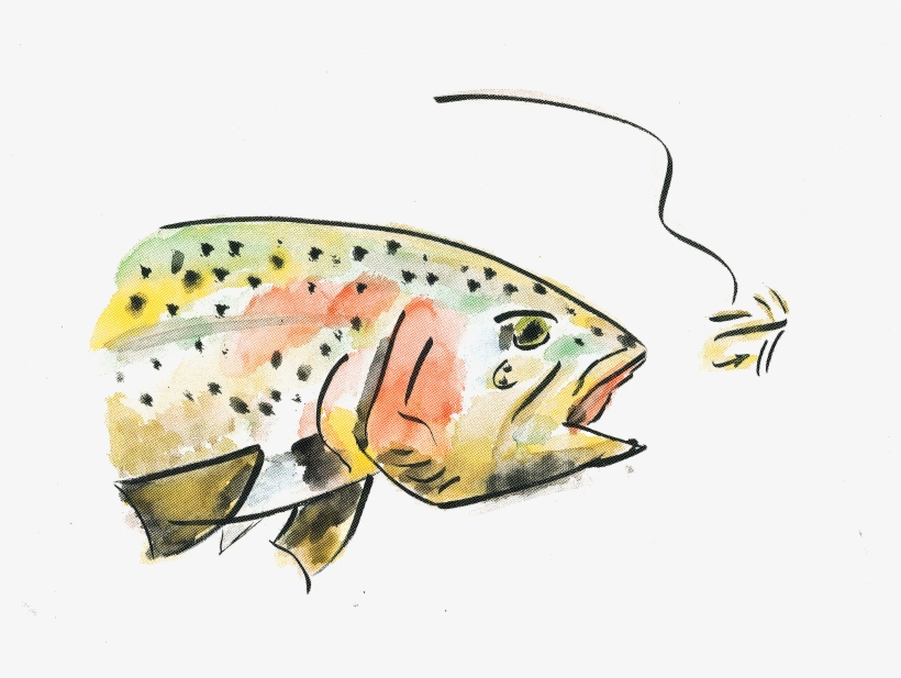 Coral Reef Fish, transparent png download