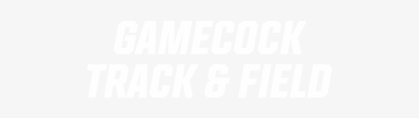 Track - Poster, transparent png download