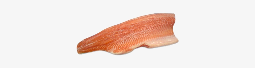 Fillet, transparent png download