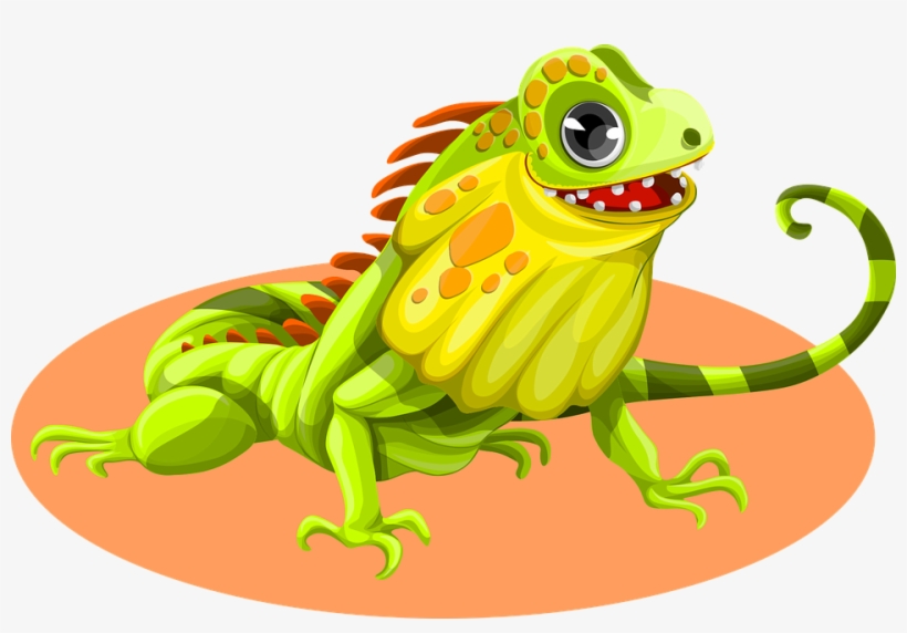 Iguana Vector Png, transparent png download