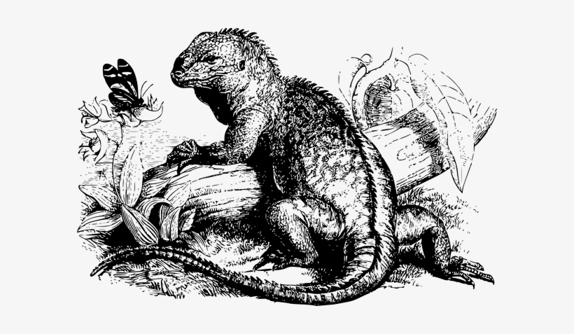 Giclee Painting: The Iguana, In The Gardens, transparent png download
