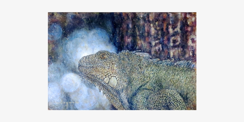 Iquana - Green Iguana, transparent png download