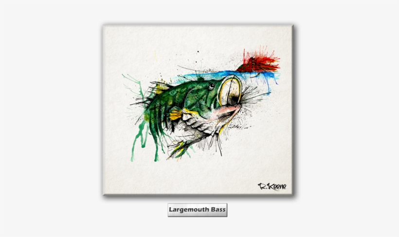 My Parents Both Taught Me To See The Beauty Of The - Macaw, transparent png download