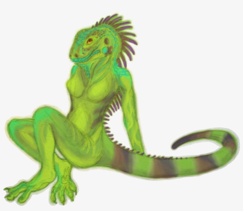 Png Iguana, transparent png download