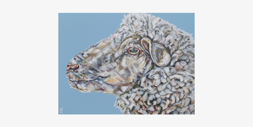 American Alligator, transparent png download