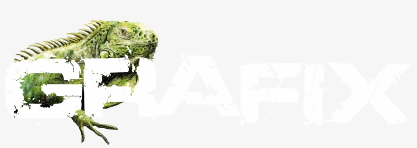 Green Iguana, transparent png download