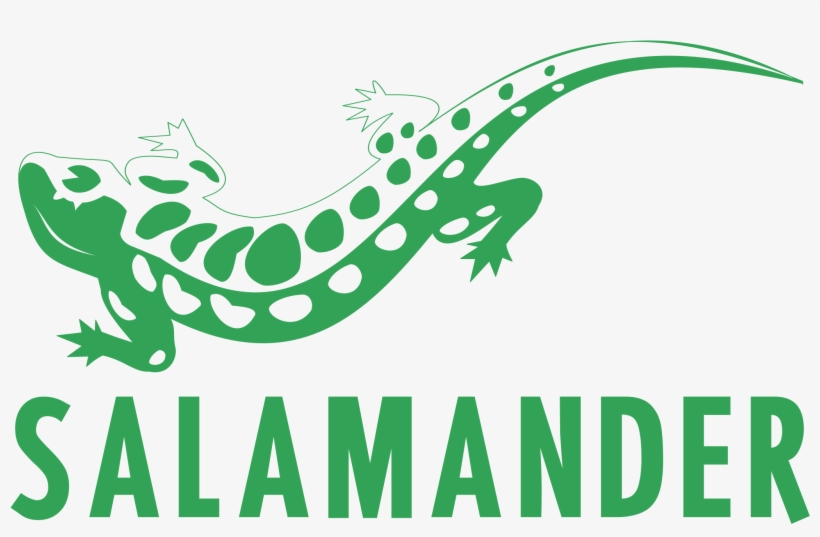 Logo Png Transparent Svg Freebie Supply - Salamander Vector Free, transparent png download