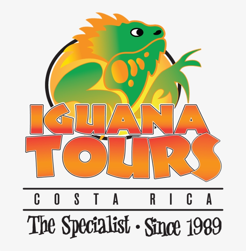 Iguana Tours' Customer Satisfaction Survey - Persistence Of Vision In Animation, transparent png download