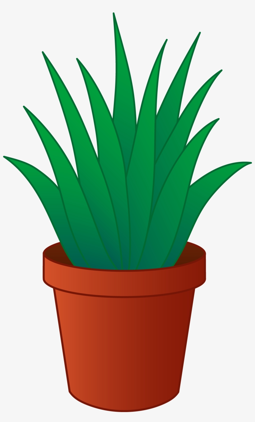 Plant Clipart Transparent - House Plant Clip Art, transparent png download