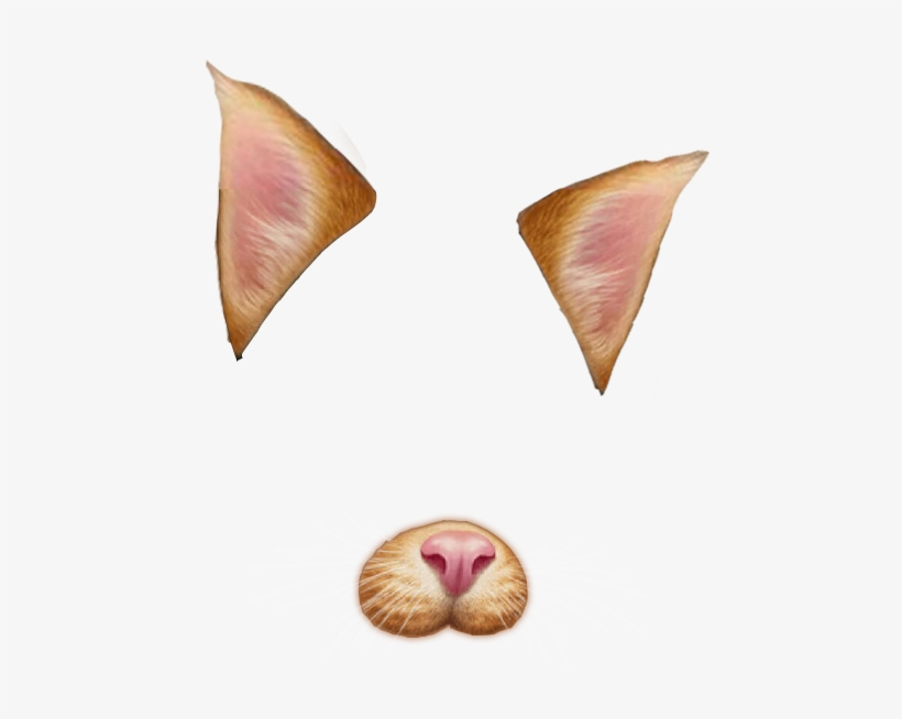 All Snapchat Filters Png, transparent png download