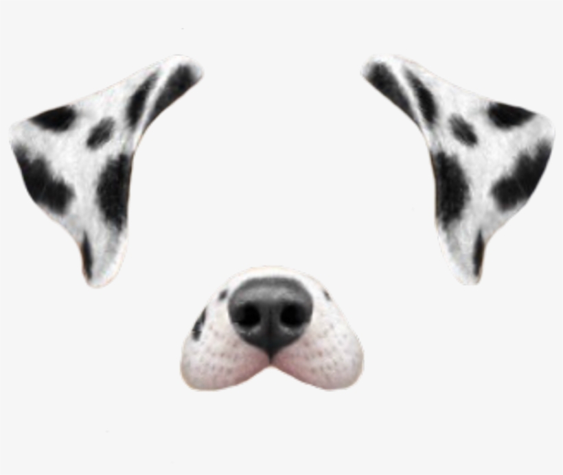 36 Images About Snap On We Heart It - Filtros De Snapchat Png, transparent png download