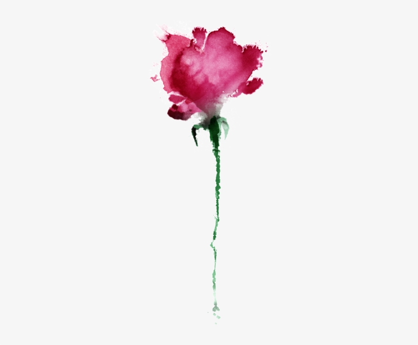Coca I Fitó Dolç - Garden Roses, transparent png download