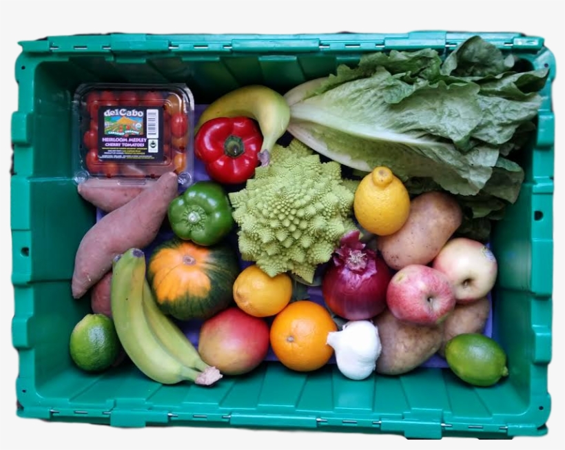 Cabbage, transparent png download