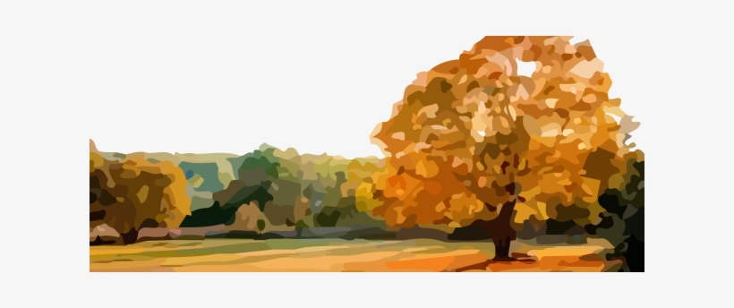 Illustration By Ghazaleh Kamrani - Paisajes De Otono Con Arboles, transparent png download