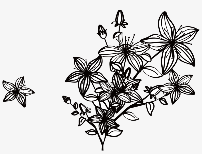 Designer Euclidean Vector Computer File - Black And White Flowers Png, transparent png download
