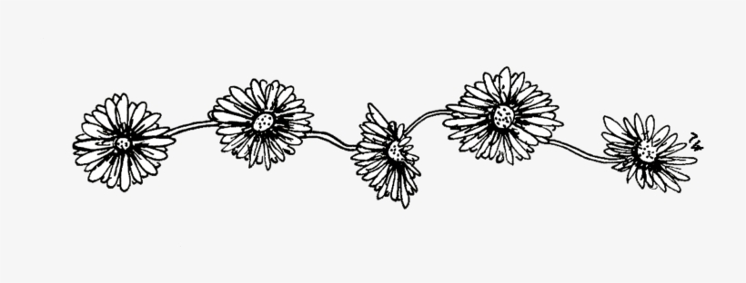 Transparent Flowers Black - Black And White Transparent, transparent png download