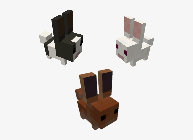 Dwarf Rabbits - Dwarf Rabbit, transparent png download