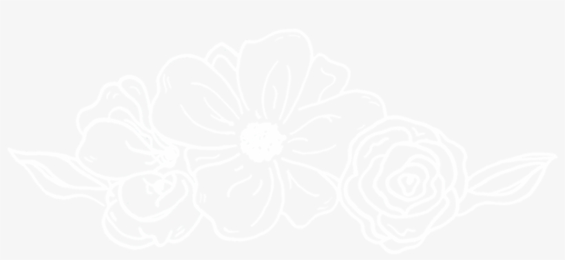 Flower, transparent png download