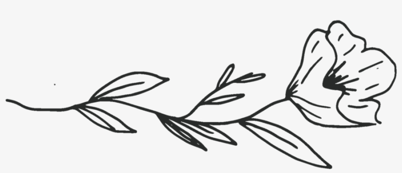 Flower, transparent png download