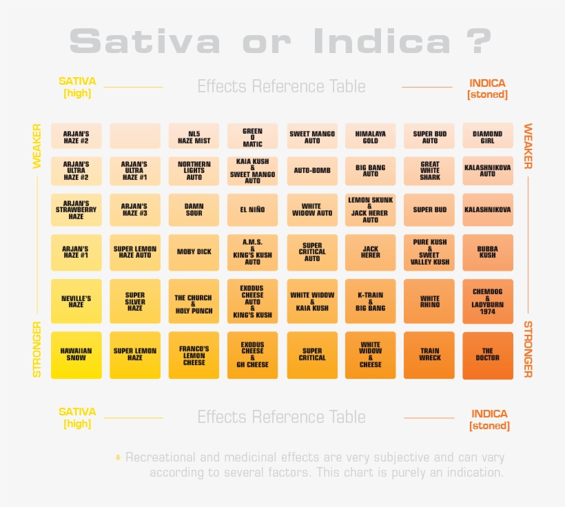 Distintos Efectos - Circle, transparent png download