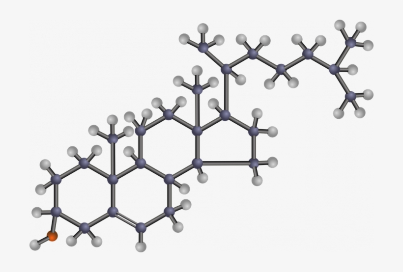 Rabdomiólisis, Un Raro Efecto Secundario - Cholesterol Png, transparent png download