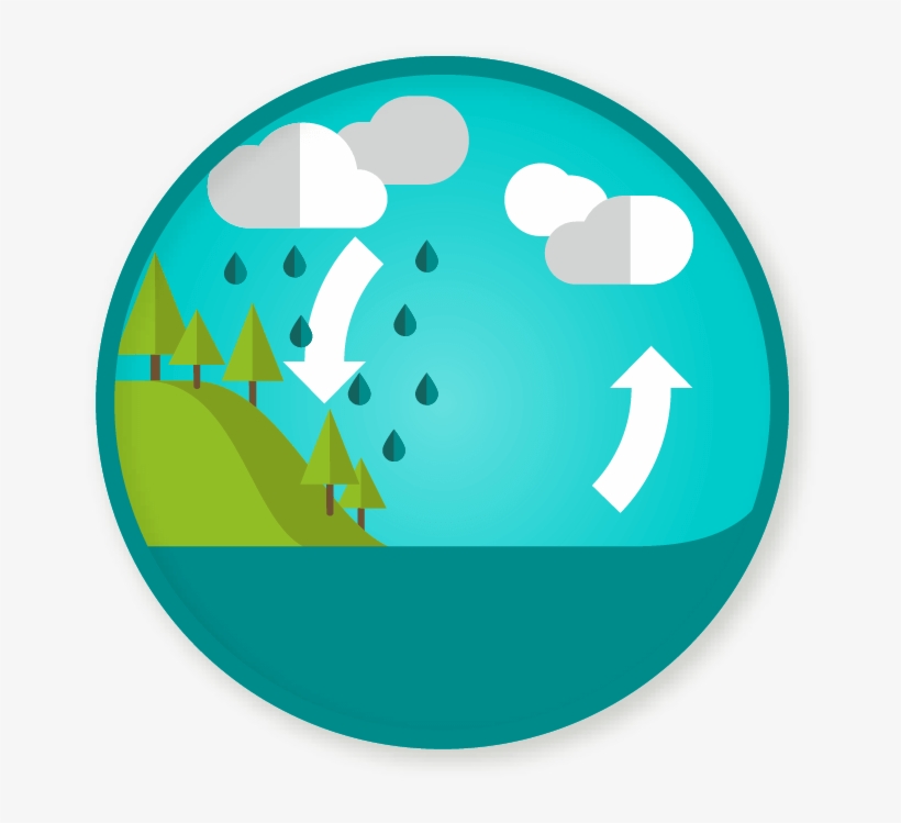 Water Cycle Clipart - Circle, transparent png download