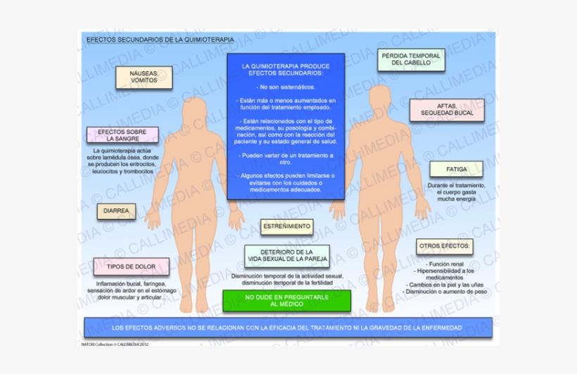 Quimioterapia Efectos Adversos Ebook - Efectos Adversos De La Quimioterapia, transparent png download