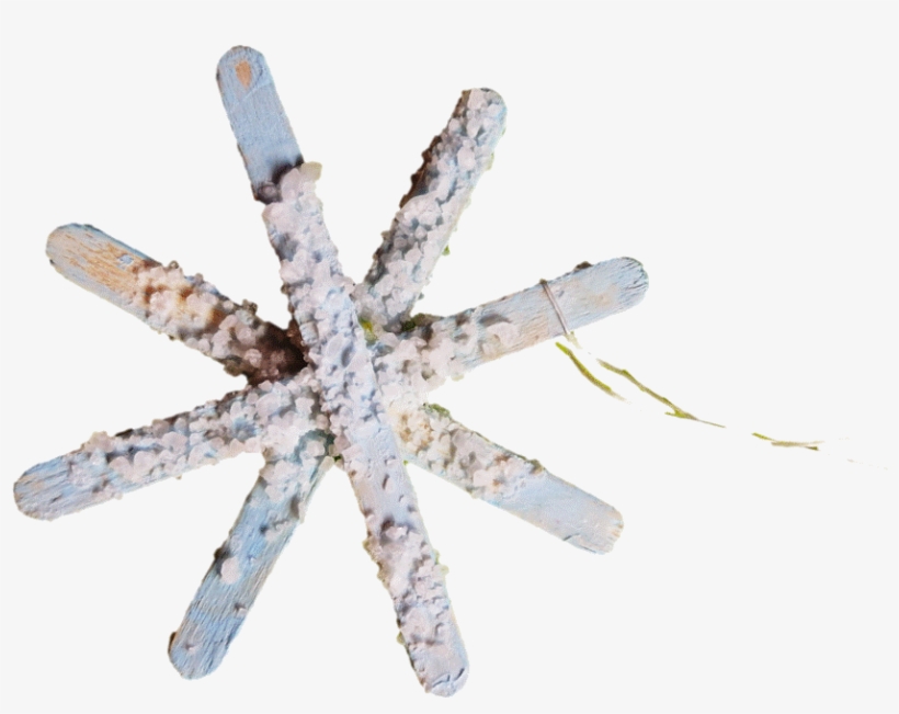 Text, Images, Music, Video - Snow, transparent png download