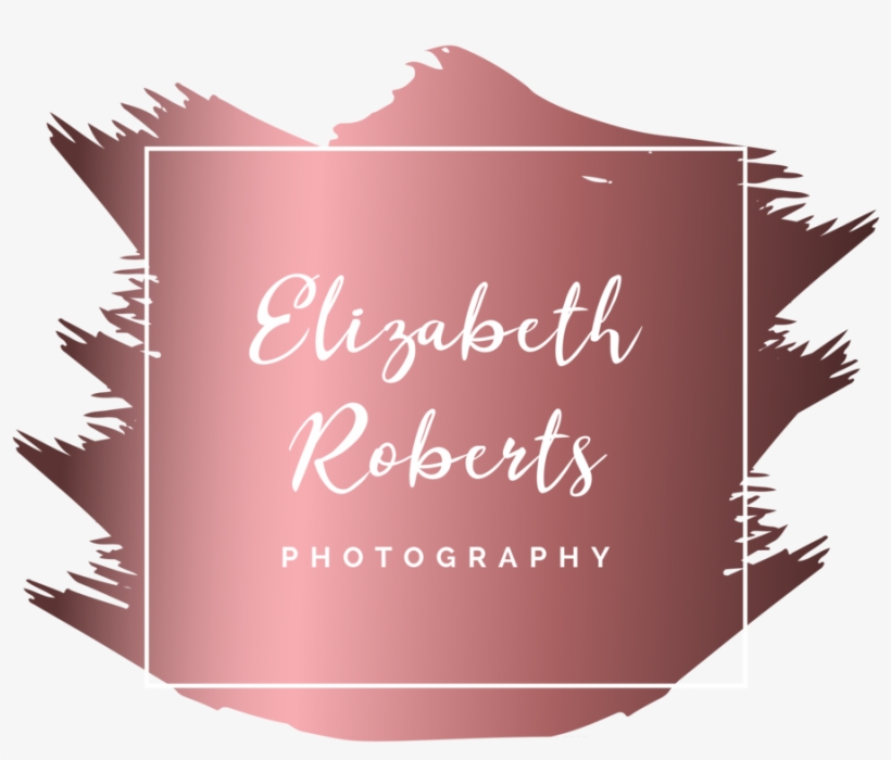 Photography Ii Logo & Branding Kit - Calligraphy, transparent png download