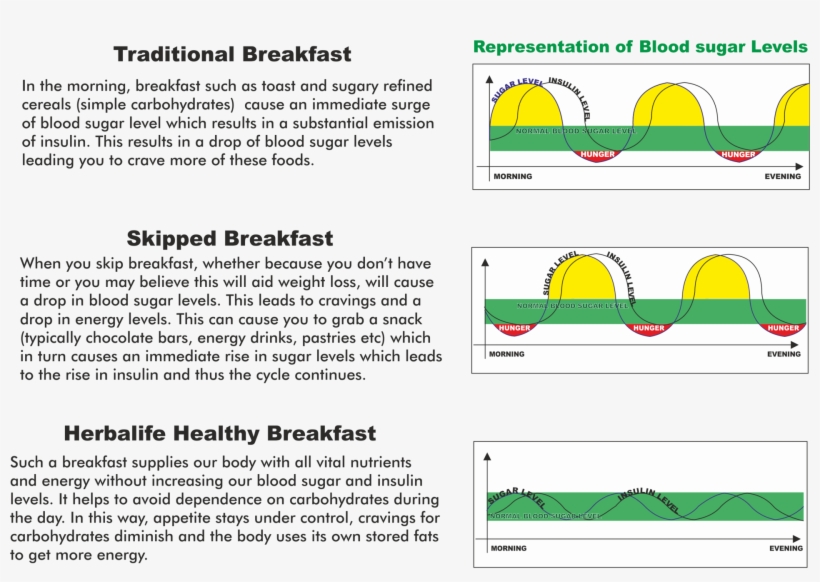 Healthy Blood Sugar Levels - Sugar Level Without Breakfast, transparent png download
