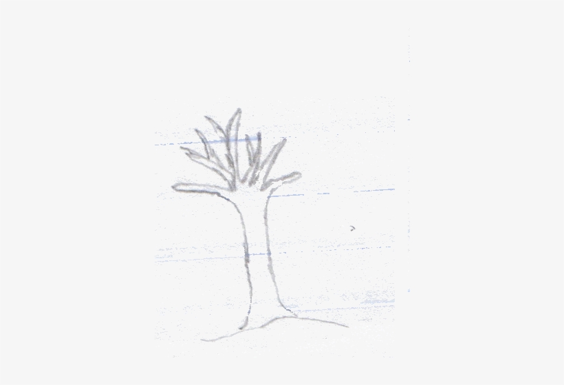 Your Virtual Tree - Sketch, transparent png download