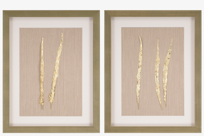 Golden Feather I Pk/2, transparent png download