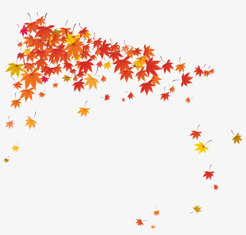 Bg-leaves, transparent png download