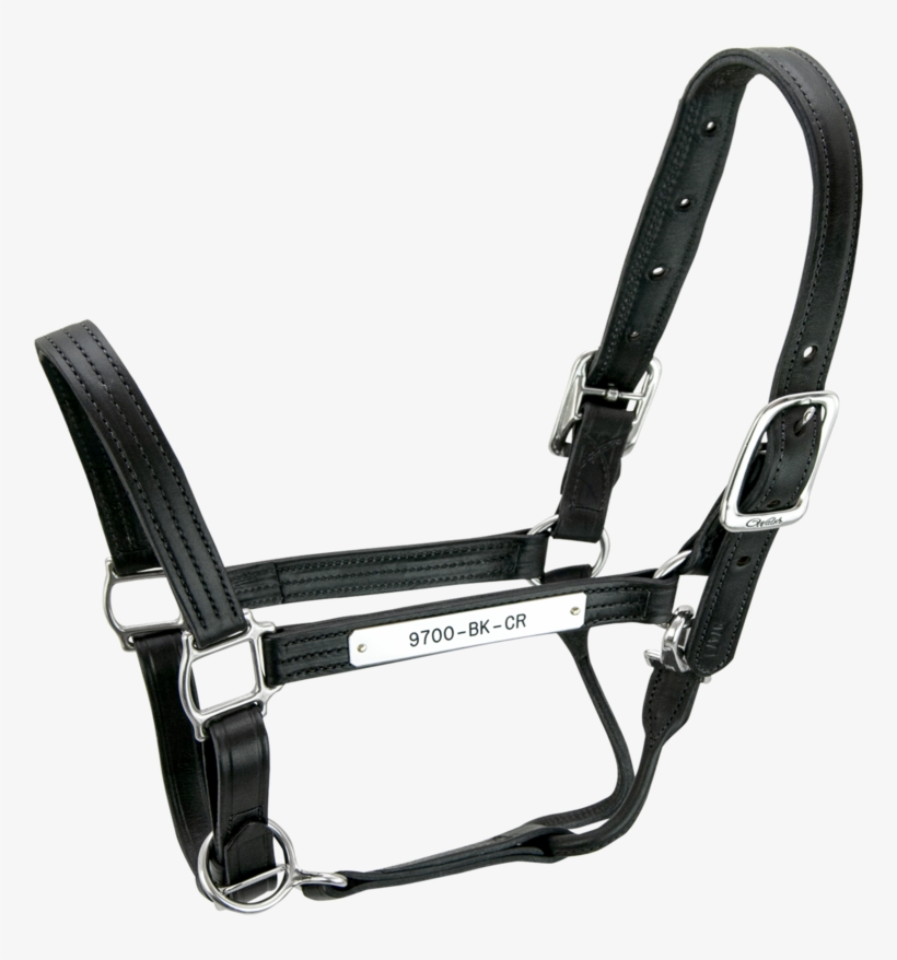 Kentucky Leather Horse Halter - Halter, transparent png download