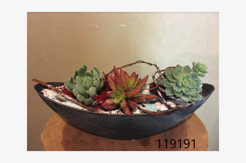 More Views, transparent png download