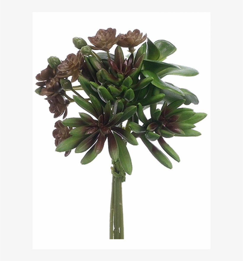 7" Succulent Garden Bouquet Green Burgundy - Artificial Flower, transparent png download