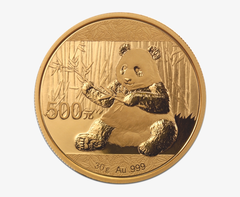 Gorilla, transparent png download