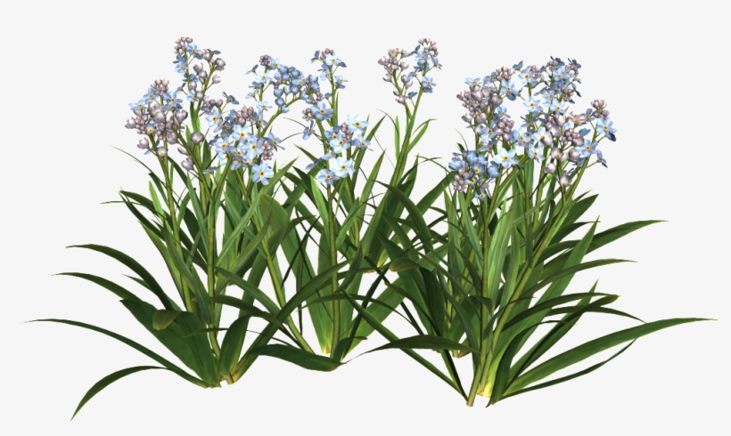 Garden Flowers Png Transparent Transparent PNG - 1023x723 - Free ...