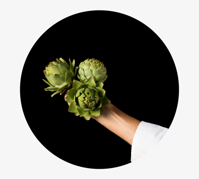 Next - Artificial Flower, transparent png download