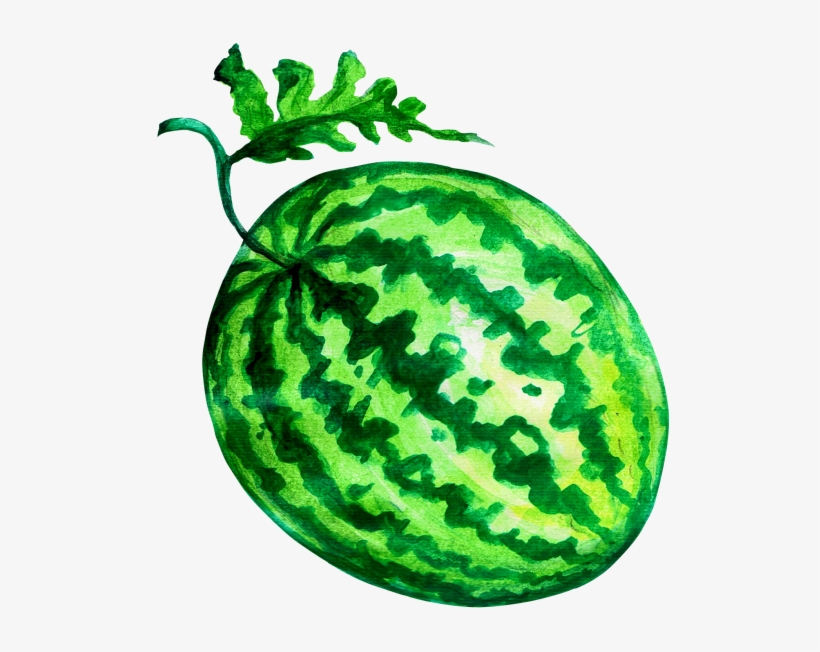 Watermelon - วาด เส้น แตงโม, transparent png download