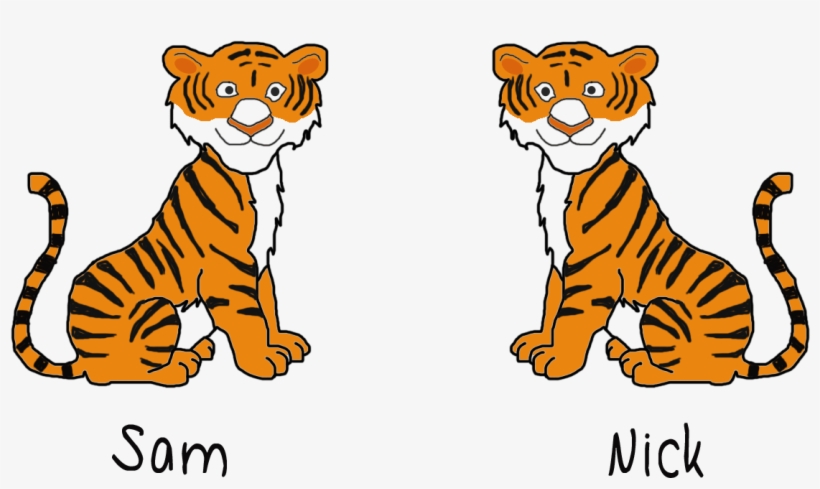 Jungle Tiger Vs Zoo Tiger, transparent png download