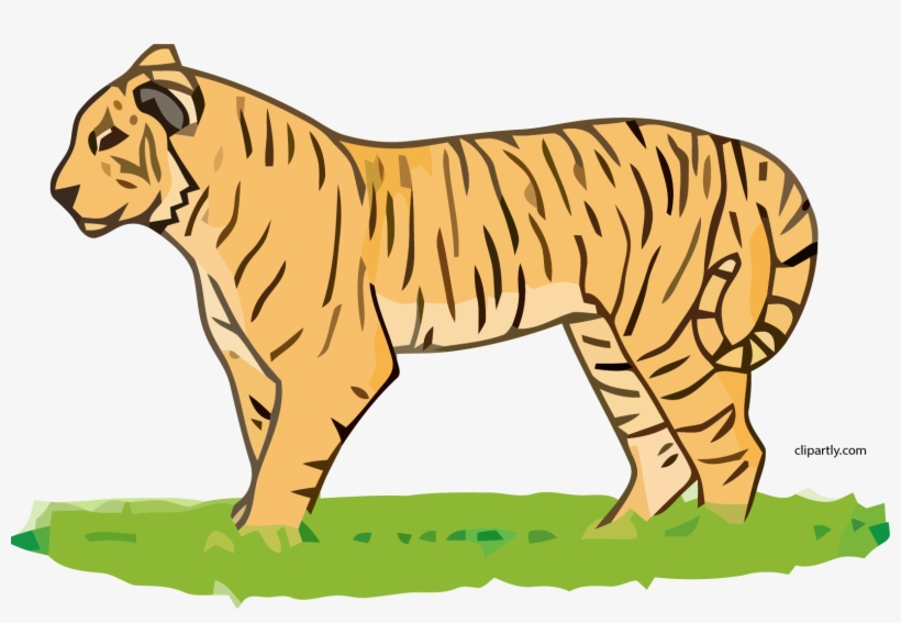 Tiger Clipart Png - Tigerclipart, transparent png download