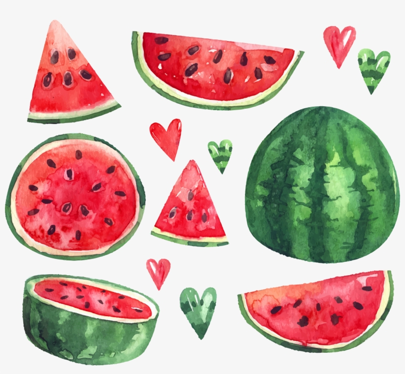 Summer Citrullus Ice Euclidean Vector Watermelon Lanatus - وکتور هندوانه شب یلدا, transparent png download