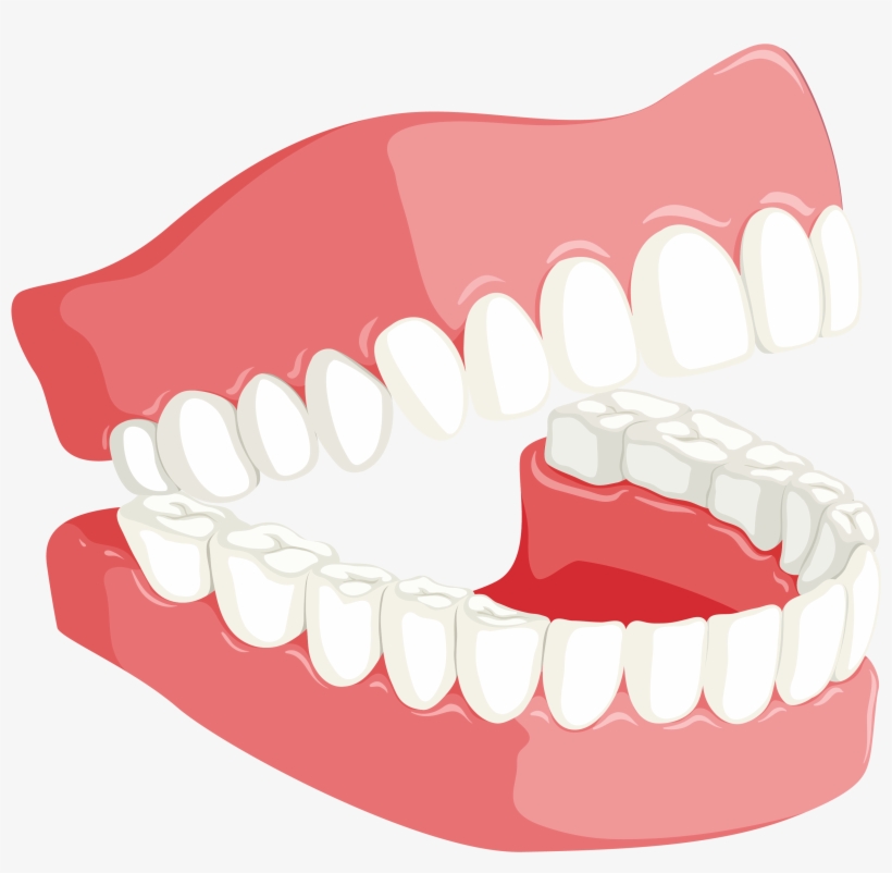 Therefore, Brush Daily, Do Flossing Between The Gaps - Teeth Dental Png, transparent png download