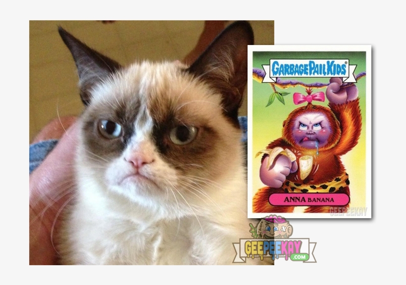 Grumpy Cat - Let It Go Grumpy Cat Meme Transparent PNG - 736x535 - Free ...