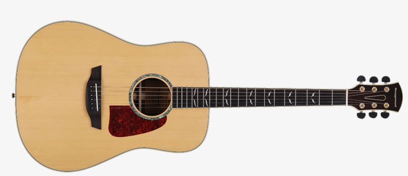 Orangewood Echo Spruce Solid Top Dreadnought Acoustic - Guitar Png, transparent png download