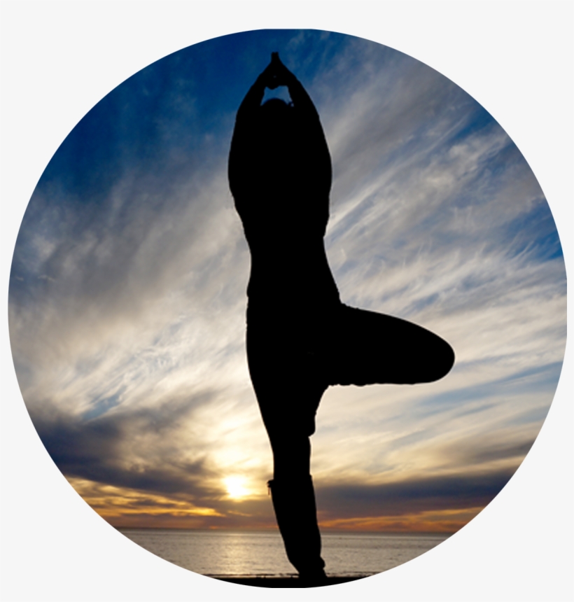 Leave A Reply Cancel Reply - Silhouette, transparent png download